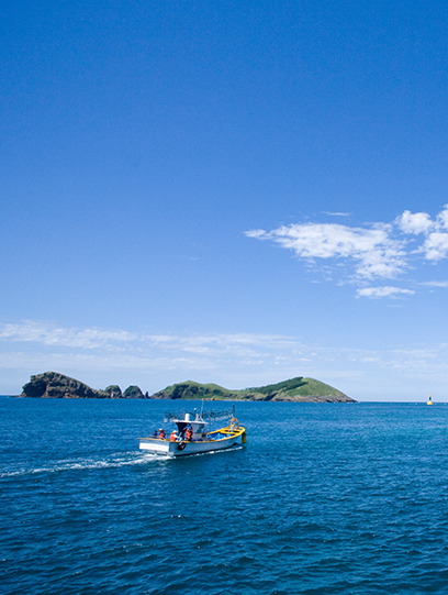 From Sea